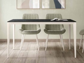 TAULA CORTES 140 porce pota B